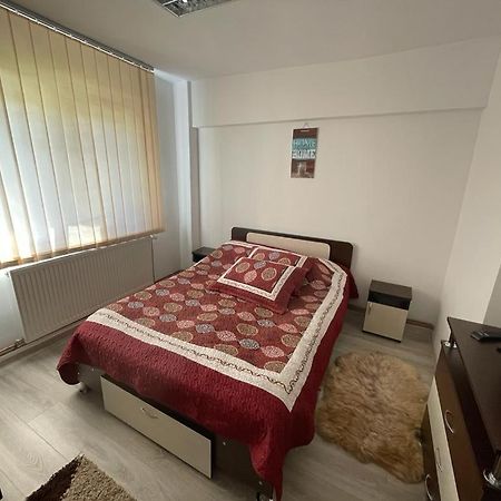 Apartament Mioritza 2B ホレズ エクステリア 写真