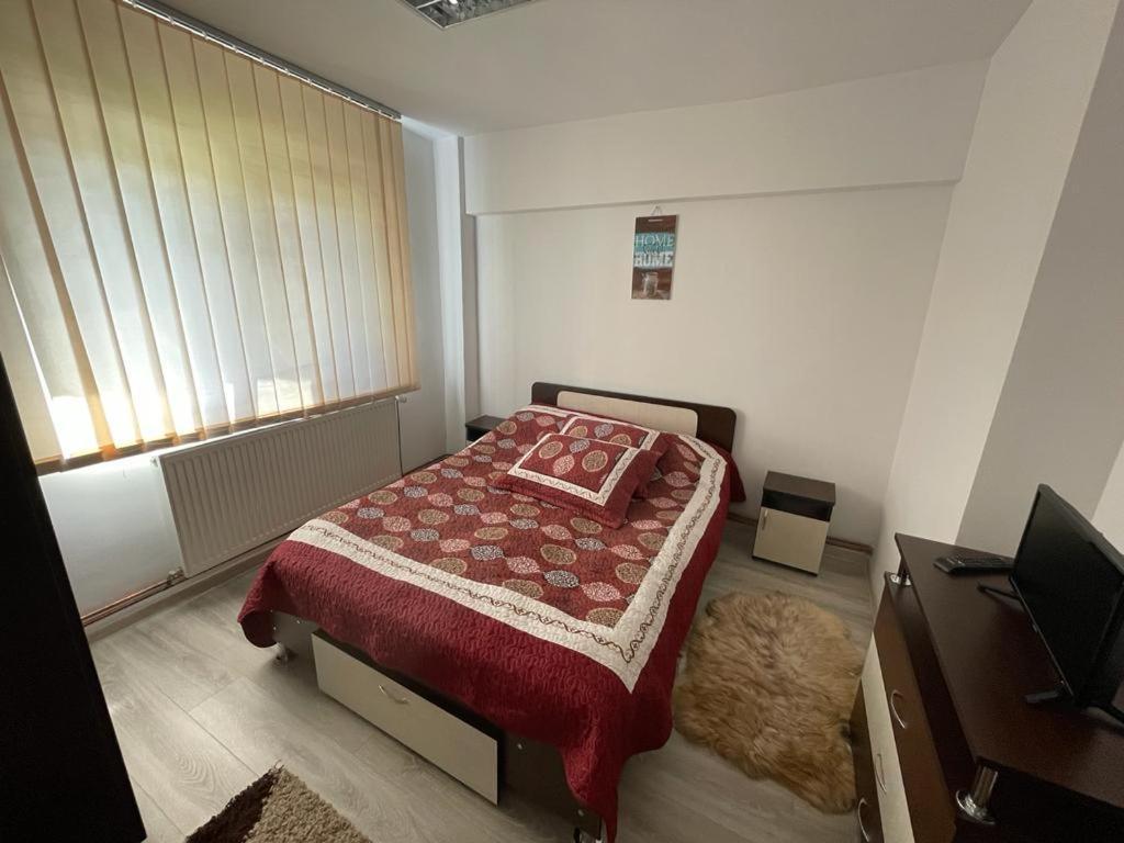 Apartament Mioritza 2B ホレズ エクステリア 写真