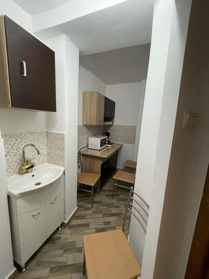 Apartament Mioritza 2B ホレズ エクステリア 写真