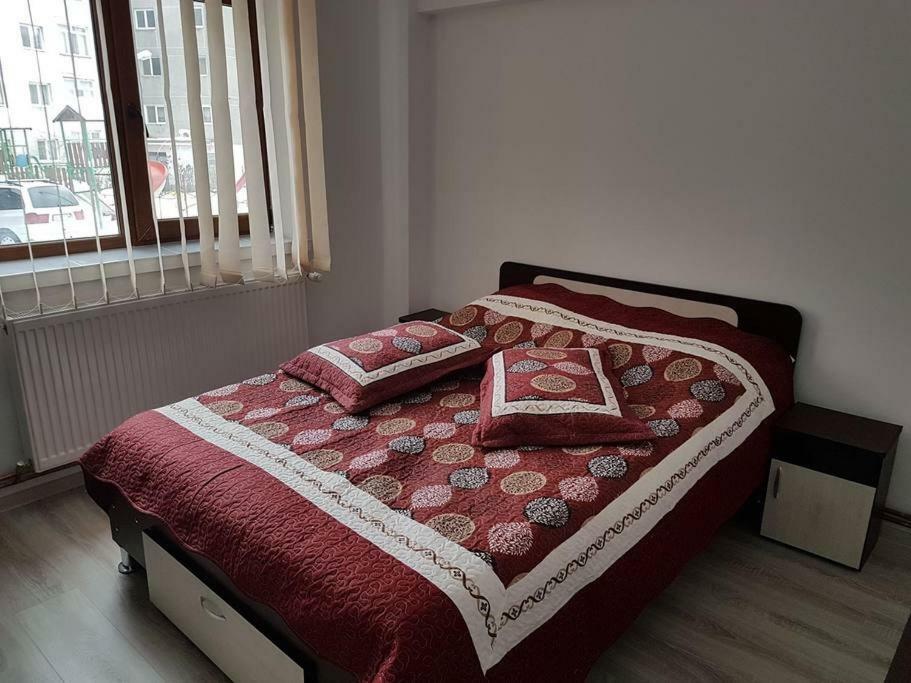 Apartament Mioritza 2B ホレズ エクステリア 写真